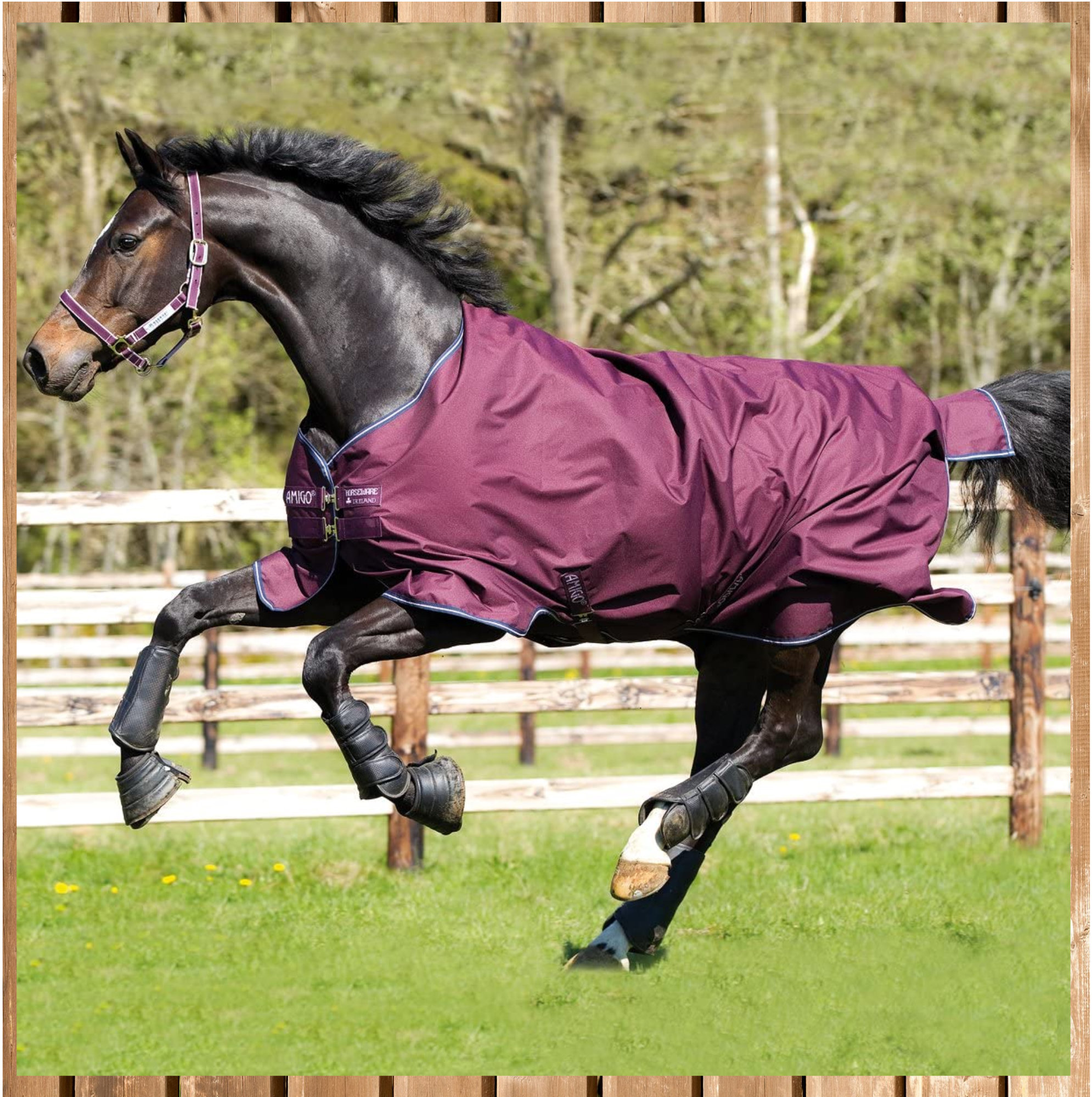 Horseware Amigo Hero lite 0g, fig-navy-lilac